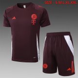 24/25  Bayern Munich  1:1 Quality Training Jersey（A-Set）