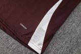 24/25  Bayern Munich  1:1 Quality Training Jersey（A-Set）