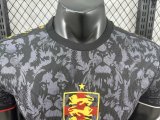 24/25 England Special Edition Player 1:1 Quality Soccer Jersey