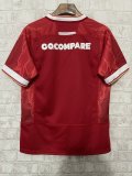 24/25 Wales Home Rugby shirt kiwi Fans 1:1 Fiji rugby  jersey