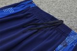 24/25 Al-Nassr FC Royal Blue 1:1 Quality Training Jersey