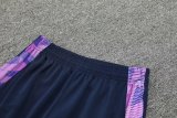 24/25 Argentina Hooded  Long Sleeved Blue 1:1 Training suit