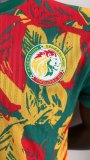 24/25  Senegal Training Clothes Player 1:1 Quality Soccer Jersey