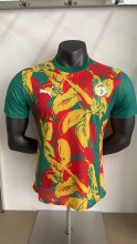 24/25  Senegal Training Clothes Player 1:1 Quality Soccer Jersey