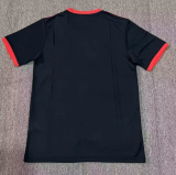 23/24 Japan Panther Edition Fans 1:1 Quality Soccer Jersey