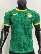 24/25  Senegal  Away Player 1:1 Quality Soccer Jersey