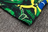 24/25 Brazil Green  Jacket Tracksuit 1:1 Quality