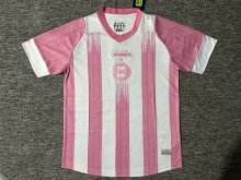 24/25 Coritiba  Special Edition  Fans 1:1 Quality Soccer Jersey