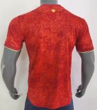 24/25 Spain  Special Edition  Fans 1:1 Quality Soccer Jersey