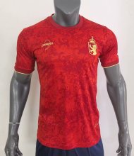 24/25 Spain  Special Edition  Fans 1:1 Quality Soccer Jersey