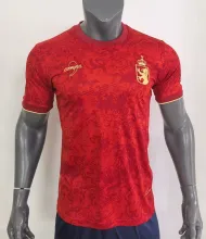 24/25 Spain  Special Edition  Fans 1:1 Quality Soccer Jersey