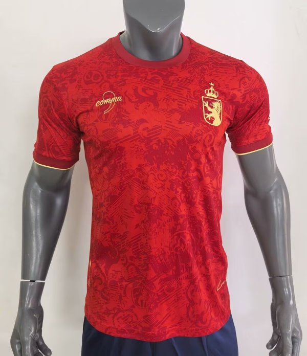 24/25 Spain  Special Edition  Fans 1:1 Quality Soccer Jersey
