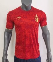 24/25 Spain Special Edition Fans 1:1 Quality Soccer Jersey 24/25 Spain Special Edition Fans 1:1 Quality Soccer Jersey