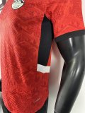 25/26 Egypt  Home Red Player 1:1 Quality Soccer Jersey