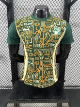 24/25  Cote d'Ivoire Special Edition Player 1:1 Quality Soccer Jersey