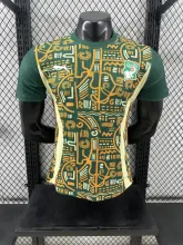 24/25  Cote d'Ivoire Special Edition Player 1:1 Quality Soccer Jersey