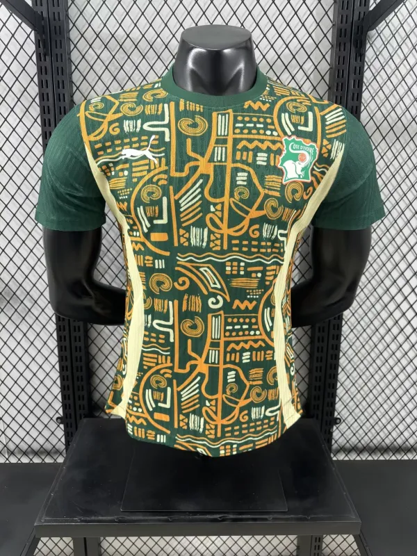 24/25  Cote d'Ivoire Special Edition Player 1:1 Quality Soccer Jersey