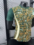 24/25  Cote d'Ivoire Special Edition Player 1:1 Quality Soccer Jersey