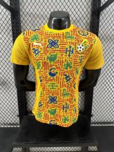 24/25 Ghana  Special Edition Yellow Player 1:1 Quality Soccer Jersey
