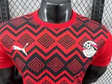 24/25  Egypt  Special Edition Red Player 1:1 Quality Soccer Jersey