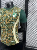 24/25  Cote d'Ivoire Special Edition Player 1:1 Quality Soccer Jersey