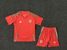 24/25  Wales Home Kids Kits 1:1 Soccer Jersey