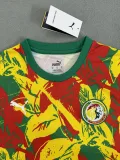 24/25  Senegal Training Clothes Fans 1:1 Quality Soccer Jersey