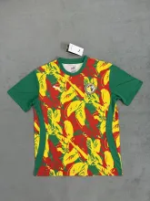 24/25  Senegal Training Clothes Fans 1:1 Quality Soccer Jersey