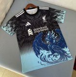 25/26 Liverpool  Black Blue Fans 1:1 Quality Soccer Jersey