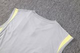 24/25 Atletico Mineiro Grey 1:1 Quality Training Vest （A-Set）