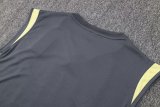 24/25 Atletico Mineiro Dark Grey 1:1 Quality Training Vest （A-Set）