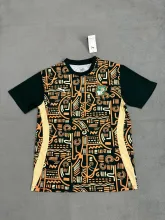 25/26 Cote d'Ivoire Training Clothes Fans 1:1 Quality Soccer Jersey