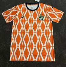 24/25  Cote d'Ivoire Stripe Special Edition Fans 1:1 Quality Soccer Jersey