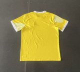 24/25 Brazil  Special Edition Yellow Fans 1:1 Quality Soccer Jersey