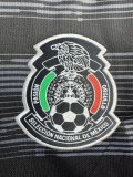 2019 Mexico Home  Long Sleeve Fans Retro 1:1 Quality Soccer Jersey