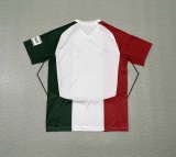 24/25 Legia Warszawa Third Fans 1:1 Quality Soccer Jersey