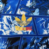 24/25 Japan Double Sided  Windbreaker