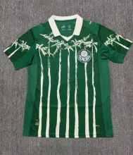 25/26 Palmeiras Home Fans 1:1  Quality  Soccer Jersey