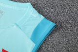 25/26 Flamengo Blue 1:1 Quality Training Vest（A-Set）