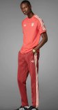 24/25 Bayern Munich Red Cotton T  1:1 Quality Soccer Jersey