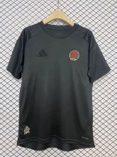 24/25  Aston Villa Special Edition Fans  1:1 Quality Soccer Jersey