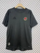 24/25  Aston Villa Special Edition Fans  1:1 Quality Soccer Jersey