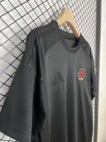 24/25  Aston Villa Special Edition Fans  1:1 Quality Soccer Jersey