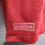 25/26  Bayern Munich Anniversary Edition Player 1:1 Quality Soccer Jersey