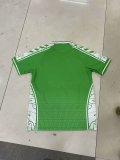 24/25 Real Betis Special Edition Fans 1:1 Quality Soccer Jersey