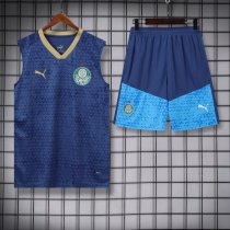 24/25 Palmeiras Blue 1:1 Quality Training Vest（A-Set）