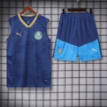 24/25 Palmeiras Blue 1:1 Quality Training Vest（A-Set）