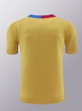 24/25 Barcelona Yellow 1:1 Quality Training Jersey（A-Set）