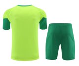24/25 Palmeiras Green 1:1 Quality Training Jersey（A-Set）