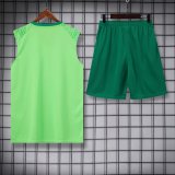 24/25 Palmeiras Green 1:1 Quality Training Vest（A-Set）